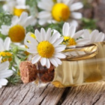 oil in a glass bottle on the background of camomile flowers