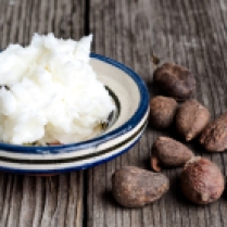 Still life of shea butter and nuts, used for cosmetic products and skincare
