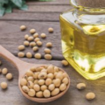 molochko-soybean-oil